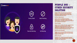 Purple DNS.png