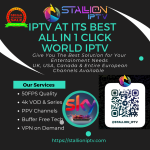 1780234914526_Main_Stallioniptv.com.png 1780234914526_Main_Stallioniptv.com.png