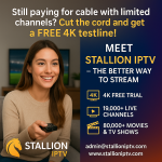 1780234855826_165b3734-1e6f-4fa5-90c7-212f9705c6bf-2.png